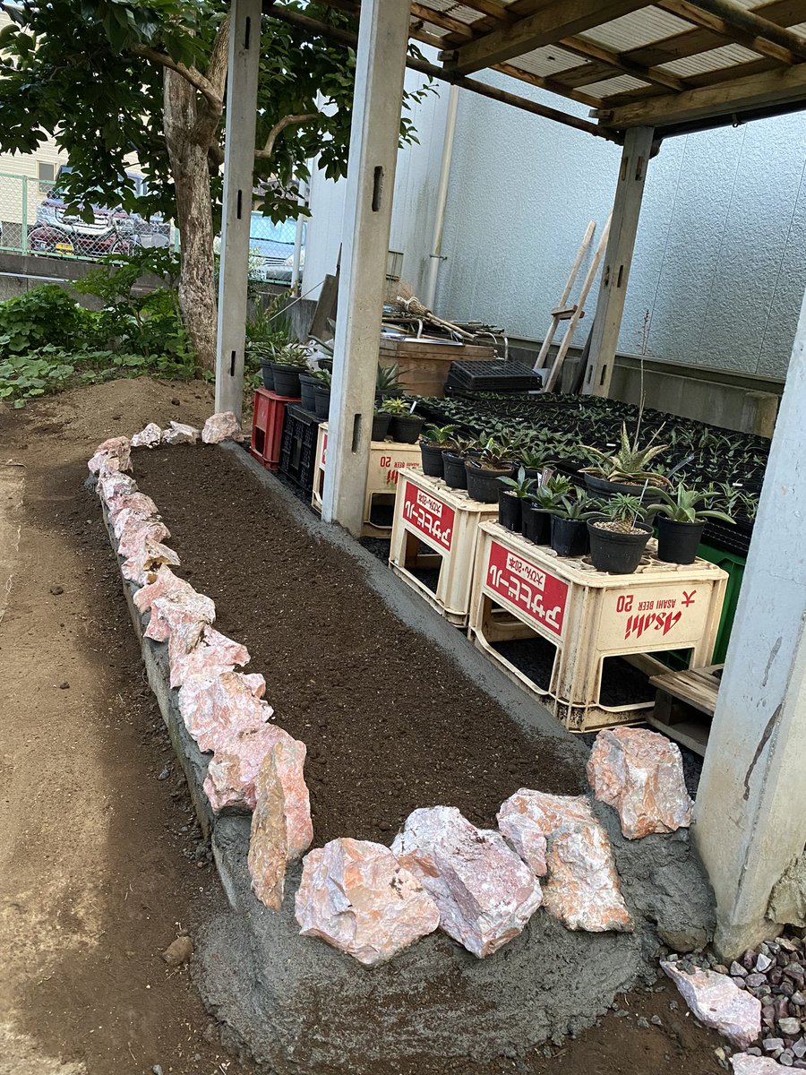 gpro1234's tweet photo. 何とか土入れまで行けた💦
週末なは植え替え出来る🤣 https://t.co/ojw25bhF6V