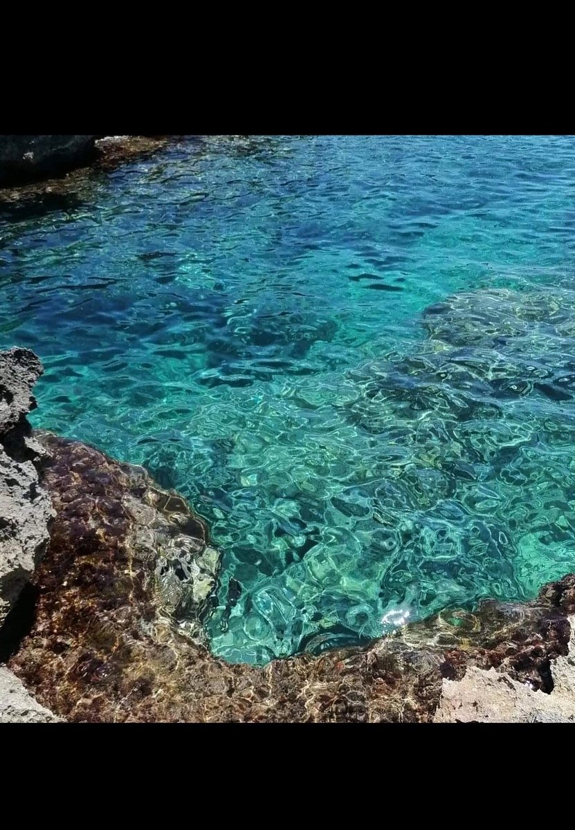 Euri100Dice 🦄 tweet media