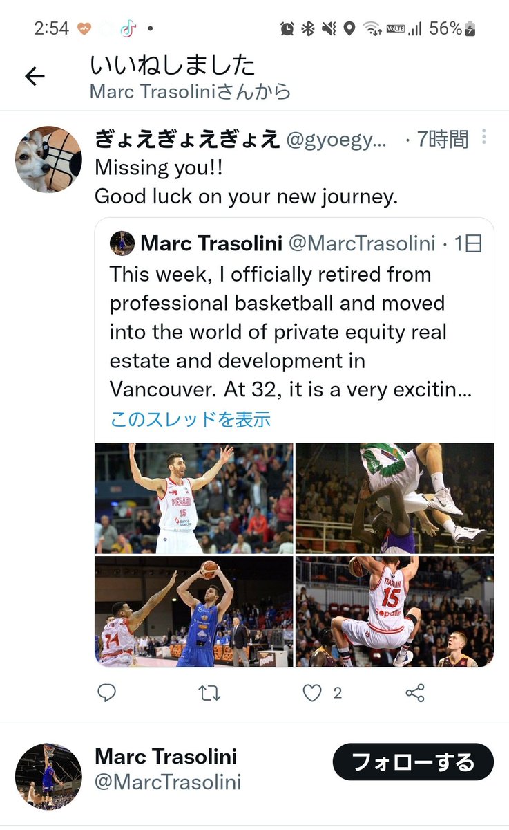 gyoegyoegyoe's tweet photo. Thanks‼️We'll never forget your contribution to Ibaraki robots.

#茨城ロボッツ 
#MarcTrasolini https://t.co/gjdDs9yaNU