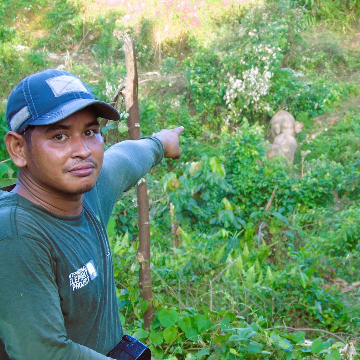IntElephantProj's tweet photo. Today is #WorldRangerDay! 💪 Your gift of $45 will fund a #WildlifeProtectionUnit for 24 hours to monitor and #ProtectRainforest, #RescueElephants, and work with local communities. Please donate: https://t.co/8WC1MjBDTL

#InternationalElephantProject #IEP #WildlifeRangers https://t.co/cb7aPEhvts