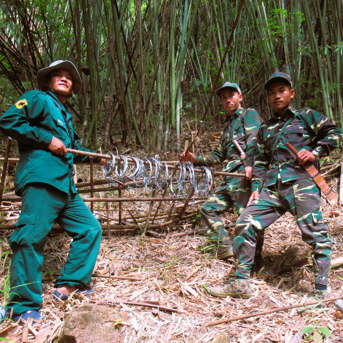 IntElephantProj's tweet photo. Today is #WorldRangerDay! 💪 Your gift of $45 will fund a #WildlifeProtectionUnit for 24 hours to monitor and #ProtectRainforest, #RescueElephants, and work with local communities. Please donate: https://t.co/8WC1MjBDTL

#InternationalElephantProject #IEP #WildlifeRangers https://t.co/cb7aPEhvts