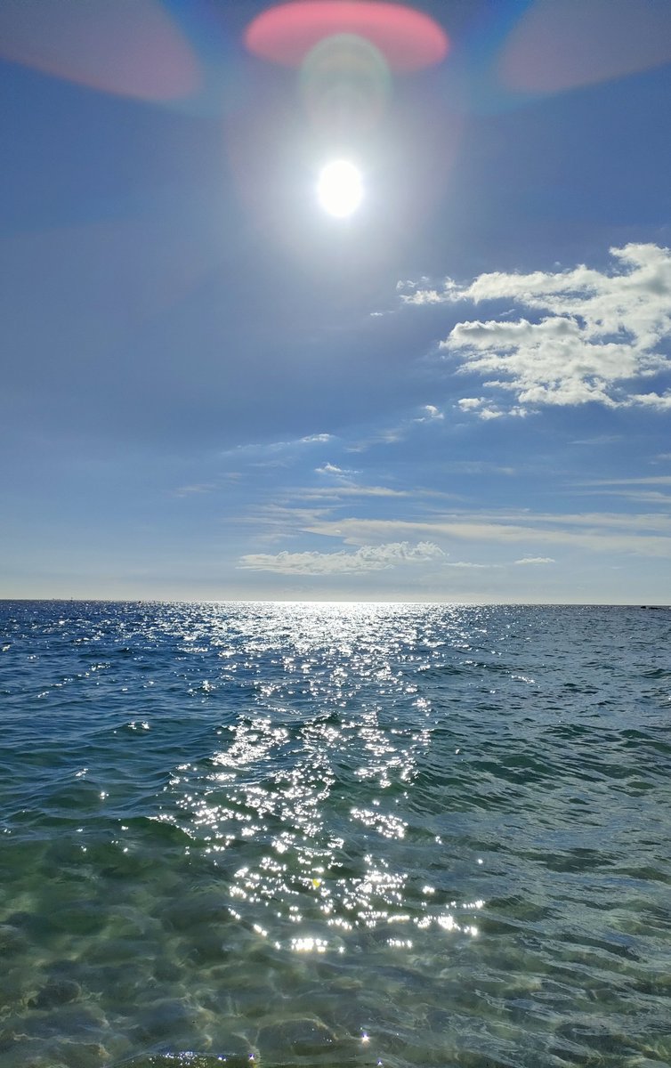 Rohne_'s tweet photo. 海行ってきたー⛱꙳⋆ https://t.co/4zXM0x2CRl