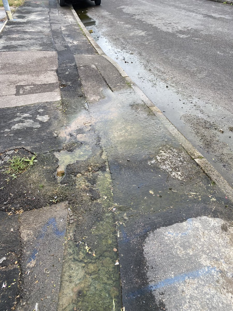 karenmicklock's tweet photo. @stwater @stwater    That will be great.  Not the first time it’s promised but let’s hope it’s true this time.  It is now green and stinky. https://t.co/sjUiLIb8us