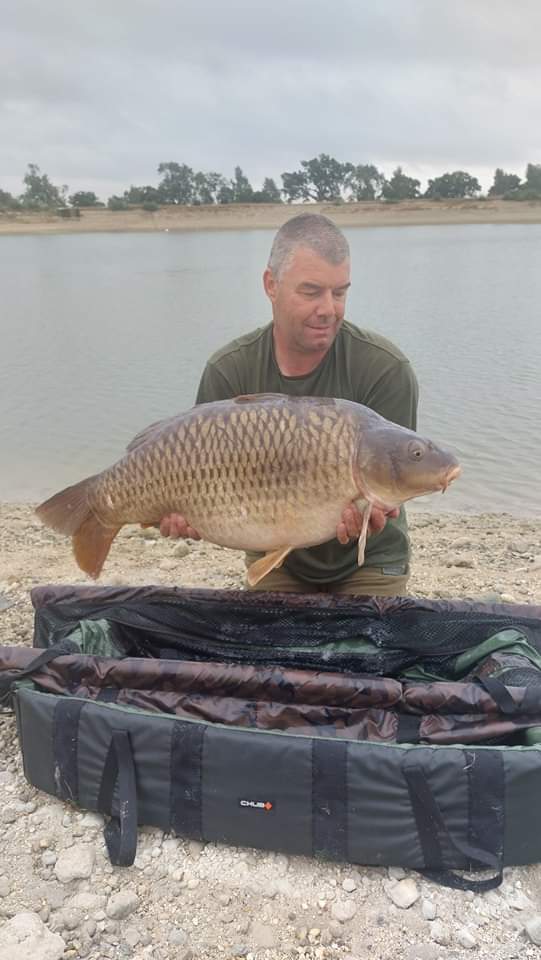 CherryCarp tweet media