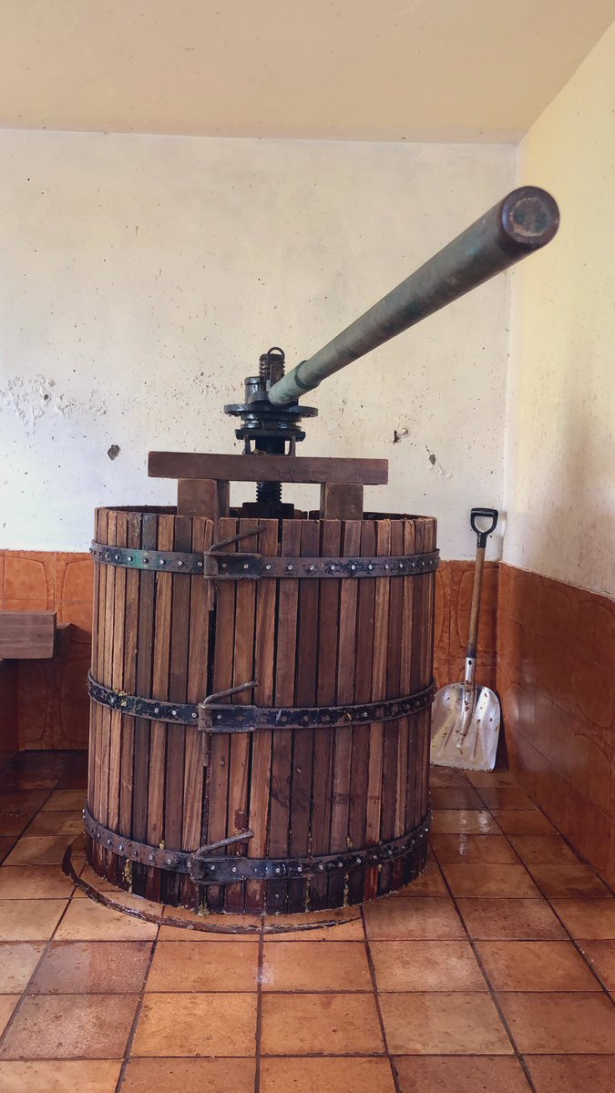 Tiempos de vendimia familiar. 🍷🌋