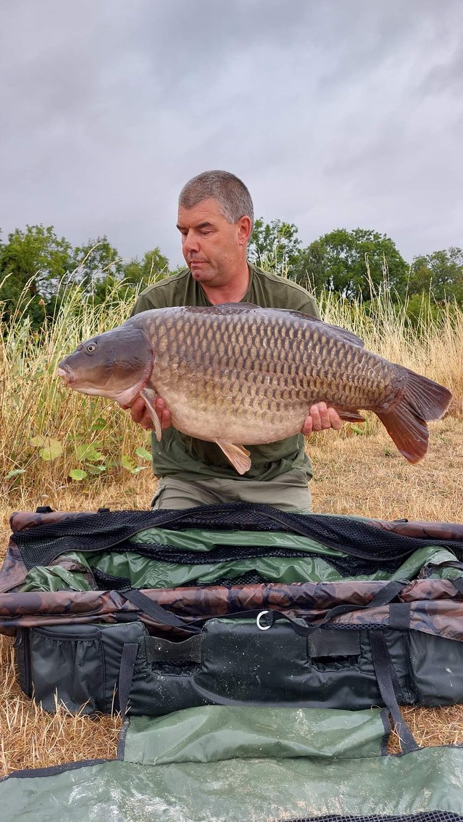 CherryCarp tweet media