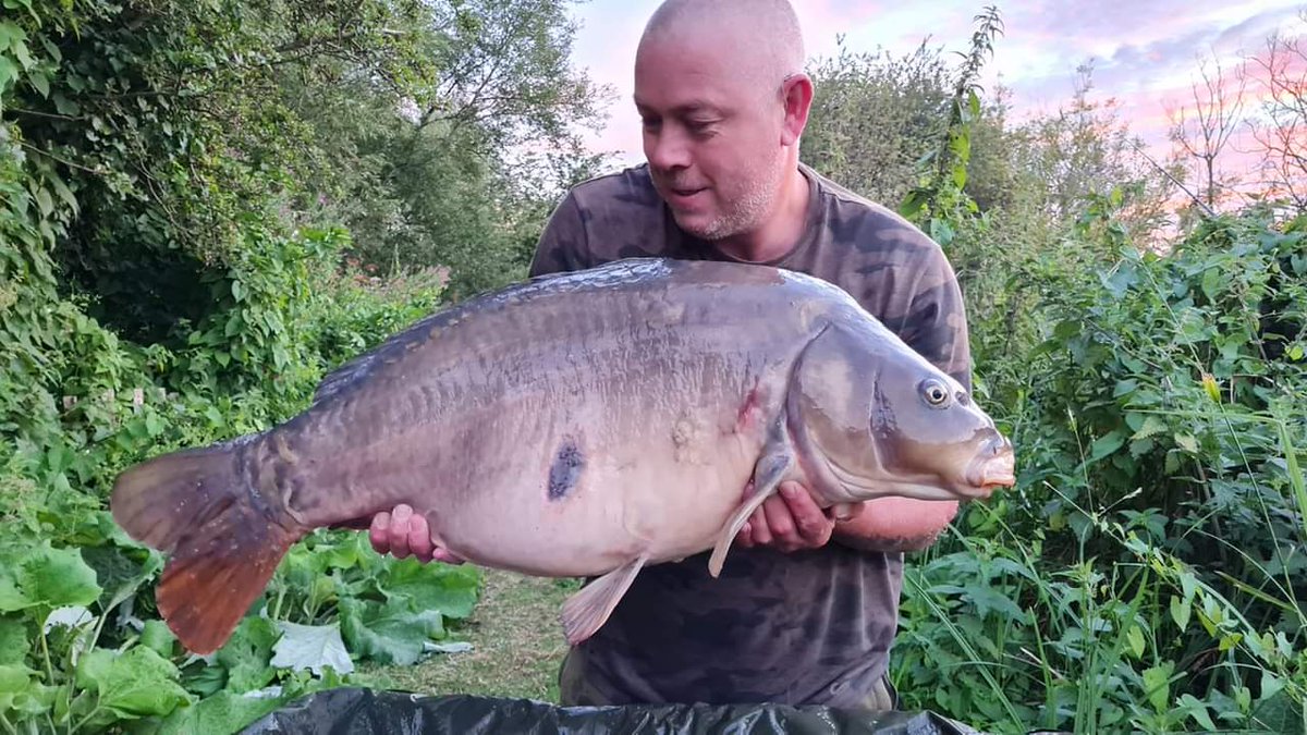 CherryCarp tweet media