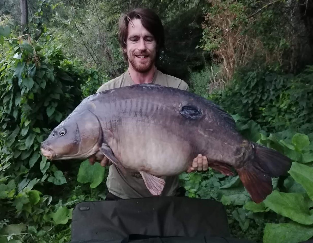 CherryCarp tweet media