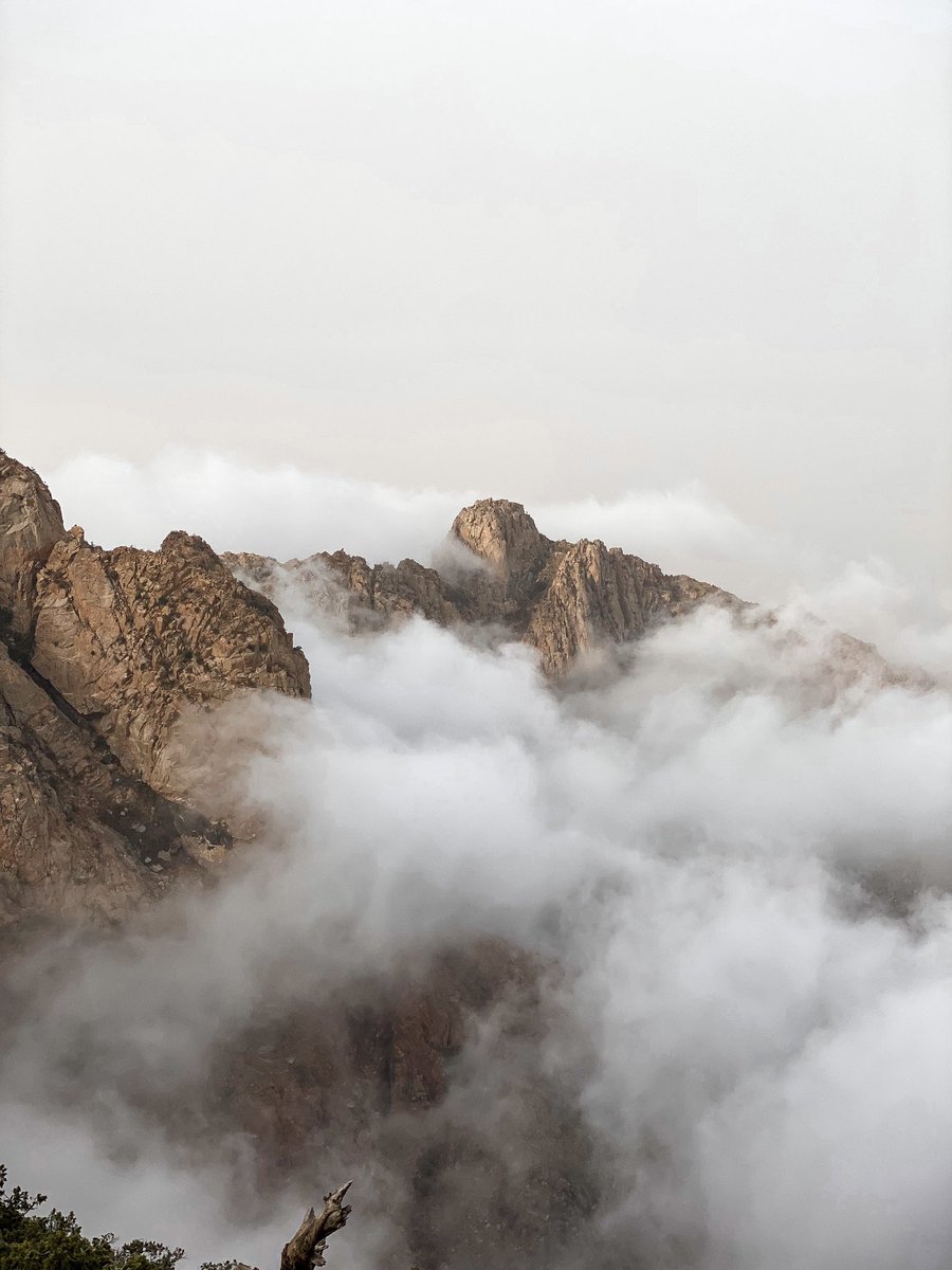 Eng🕷️🕸️ tweet media