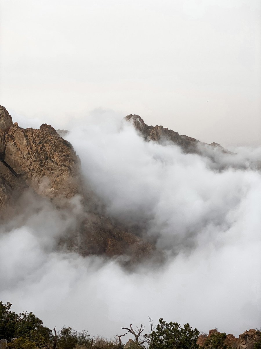 Eng🕷️🕸️ tweet media