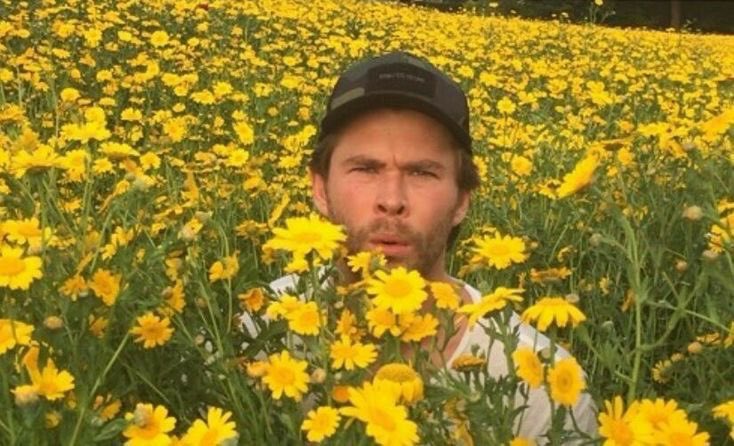 Он сказал что бы я посидел среди своих сородичей…По-моему неплохо получилось
#day5