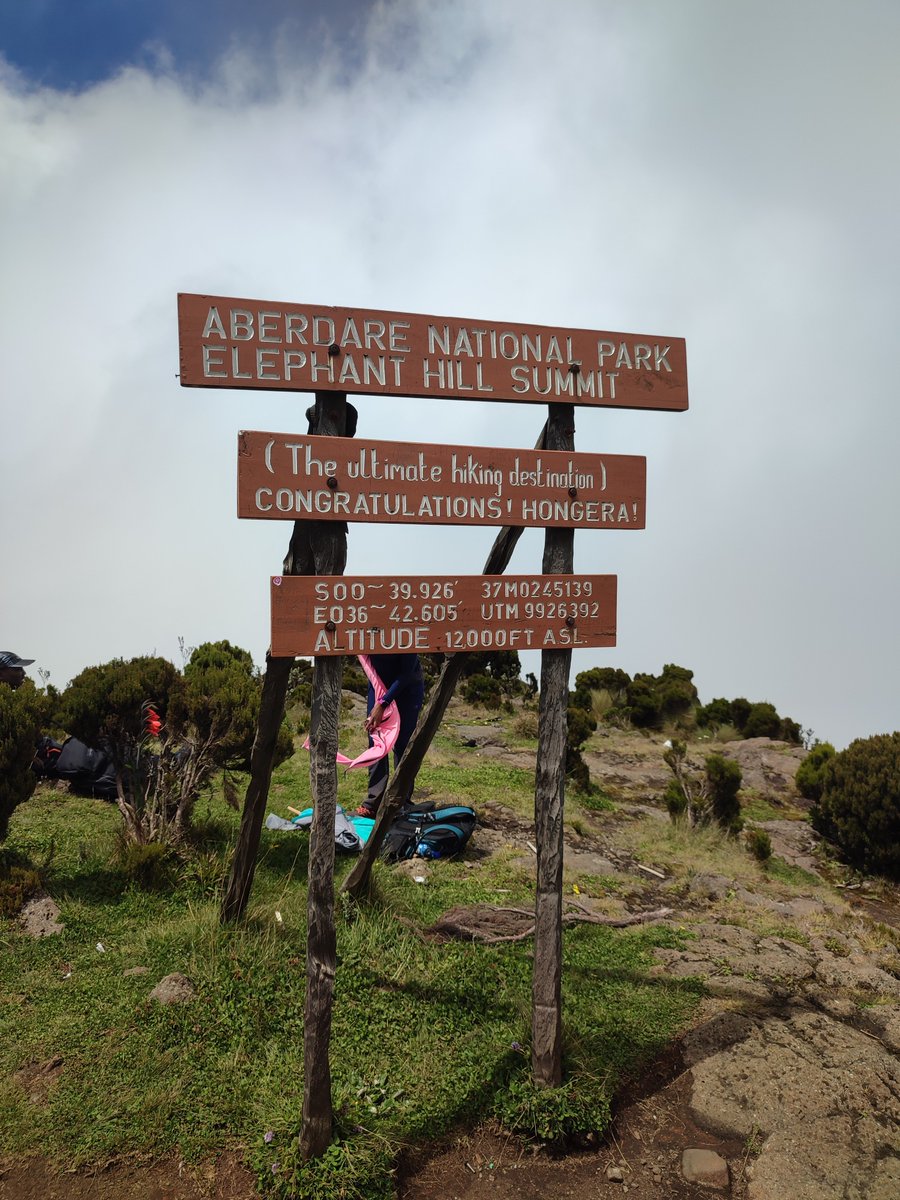 Hiking Adventures tweet media