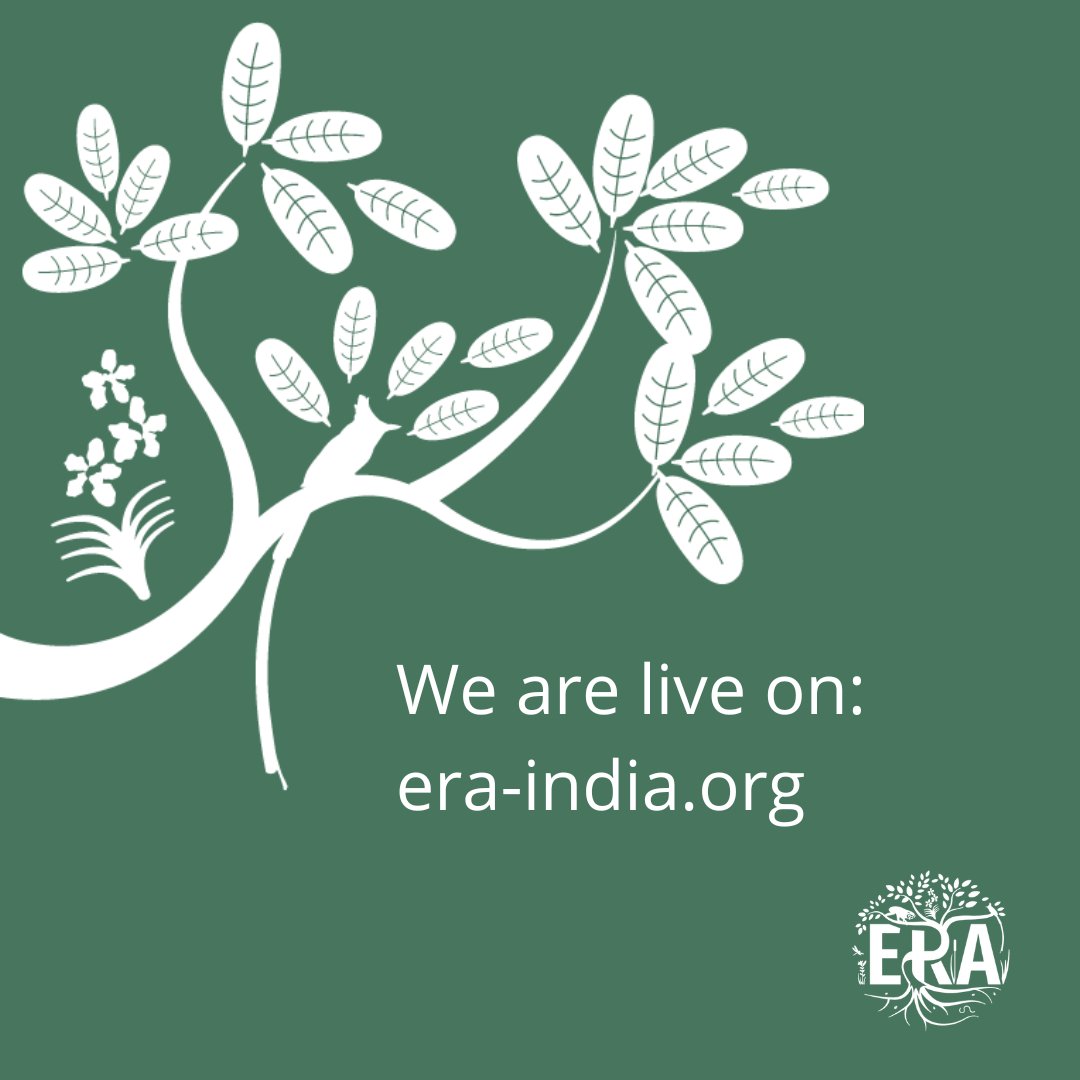 We are live on era-india.org! Find restoration projects, meet community members and learn about native flora of your area. #ecologicalrestoration #eco #restorationdecade #ecology #environment #ClimateAction #climatechange #ecology #landscape