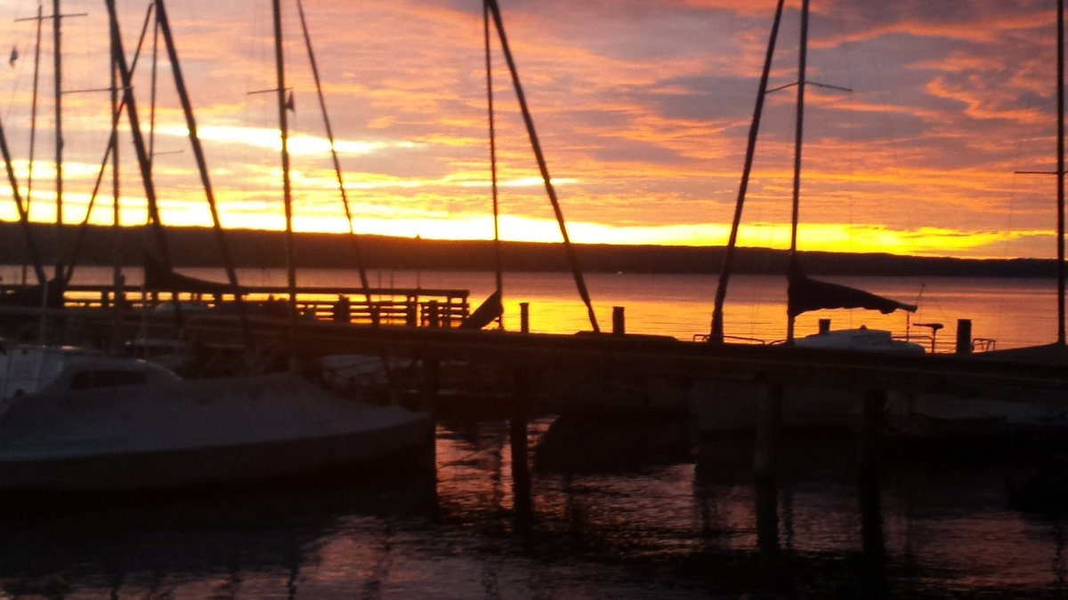 Heike M Grimm (@heikemgrimm) on Twitter photo 