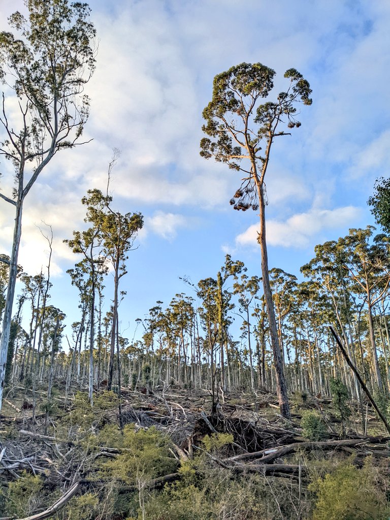 Dr Tom Fairman tweet media