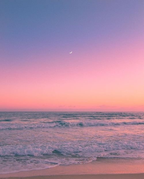 Aesthetics tweet media