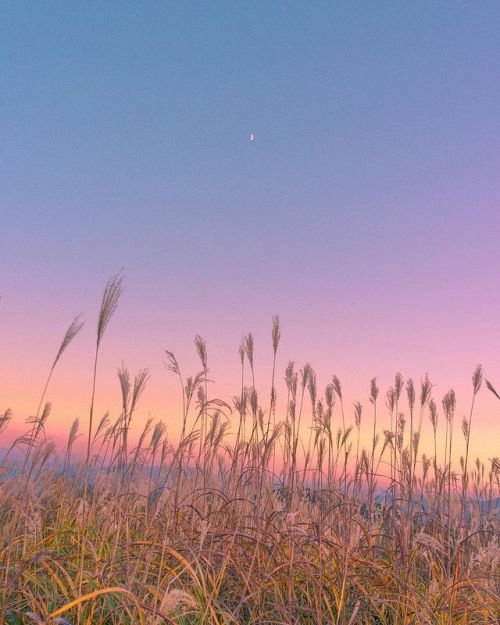 Aesthetics tweet media