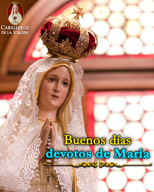 Caballeros de la Virgen tweet media