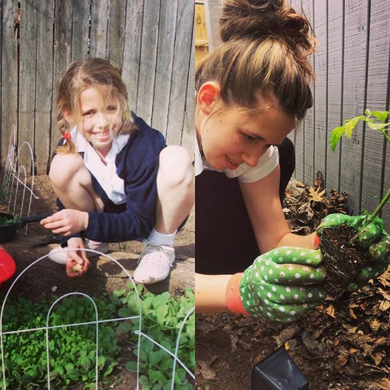 Some garden and parenting advice, a gentle correction I got in prayer this week. lazywmarie.com/some-garden-pa… #lazyw #gardening #parentingadults #faith #trust