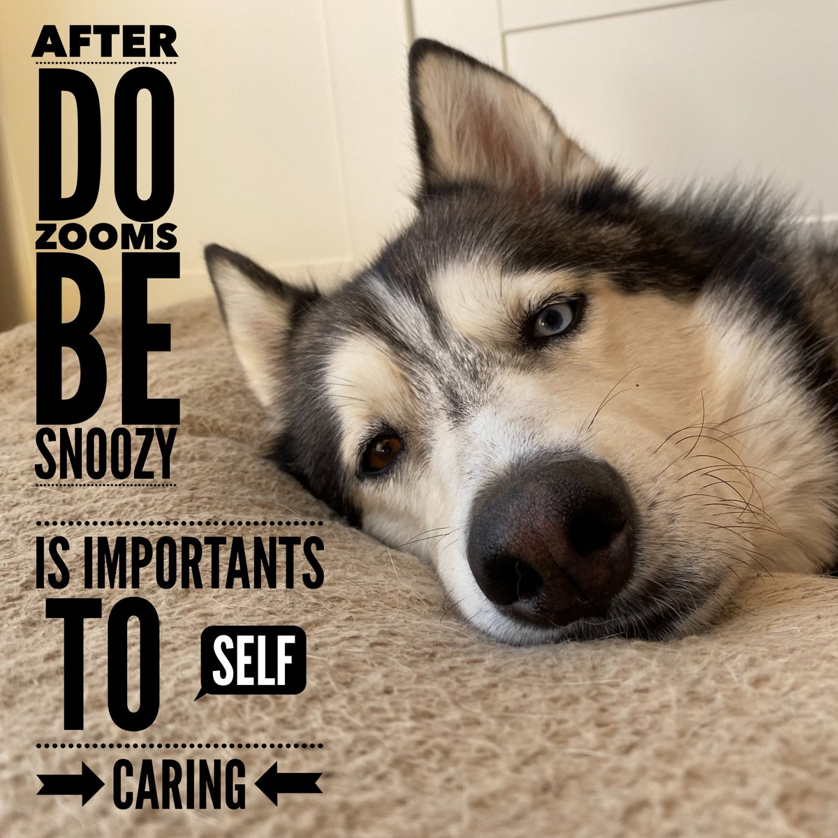 HuskyToTheMax's tweet photo. Self care is importantzzz https://t.co/fp4JswD2zS
