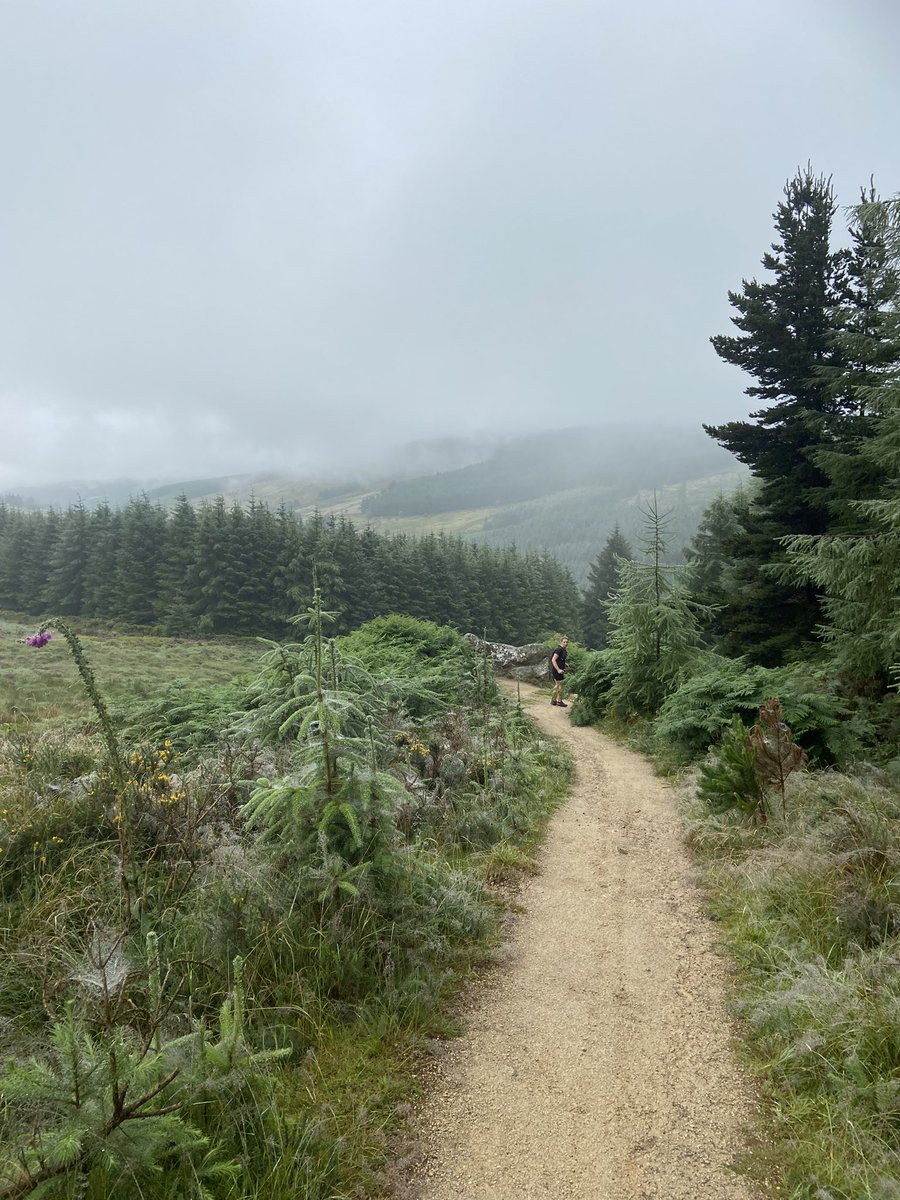 IrishRunningGir's tweet photo. Very humid mountain miles!
#Cruagh #Tibradden #PrinceWilliamsSeat https://t.co/Go8VQqFWSa