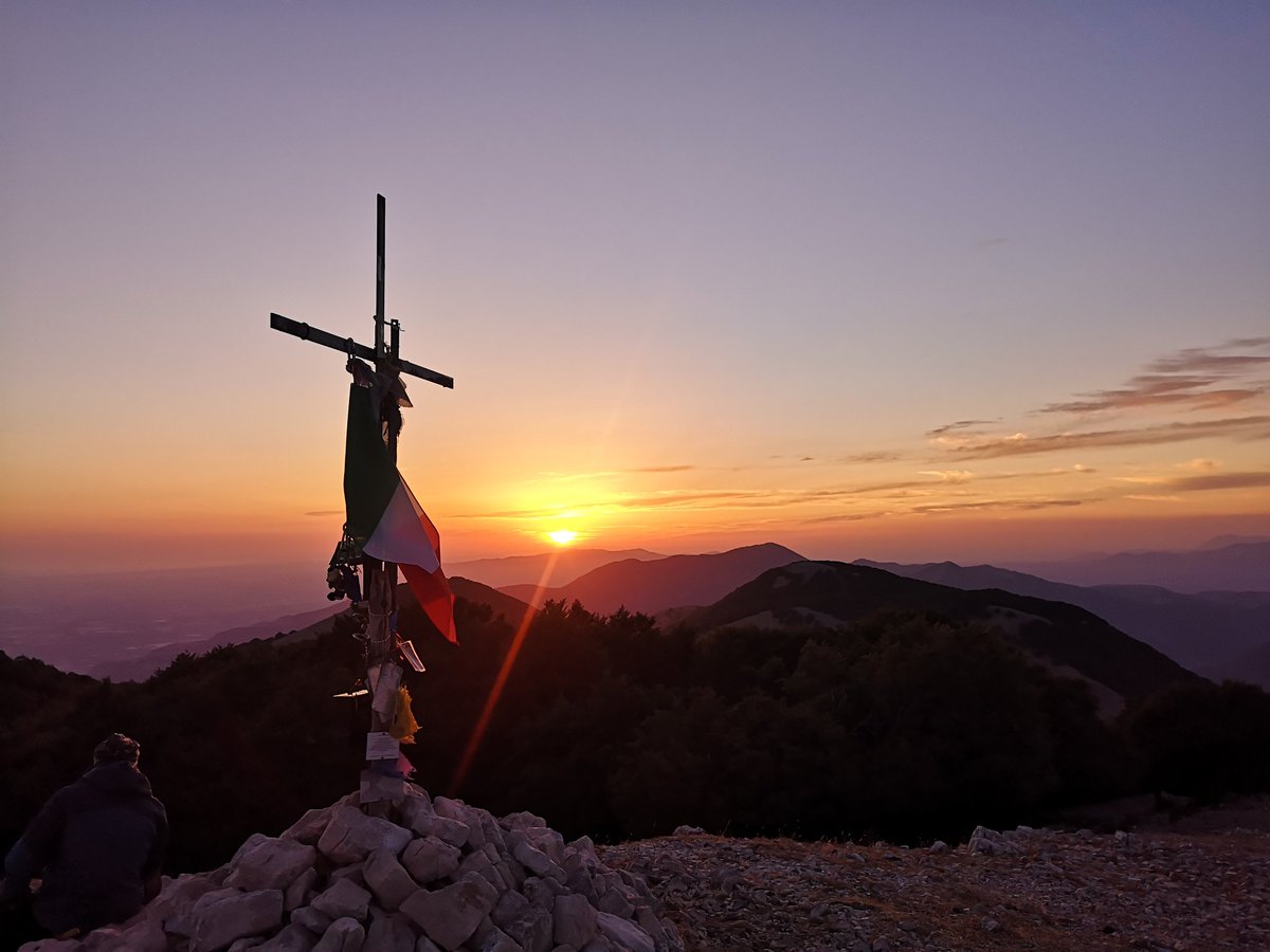 LepiniTrek1536 tweet media