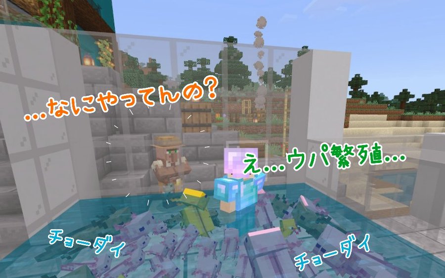 マイクラのウーパールーパーが水槽から消えるのはバグ 脱走やデスポーンさせない為の方法を紹介 Yylife