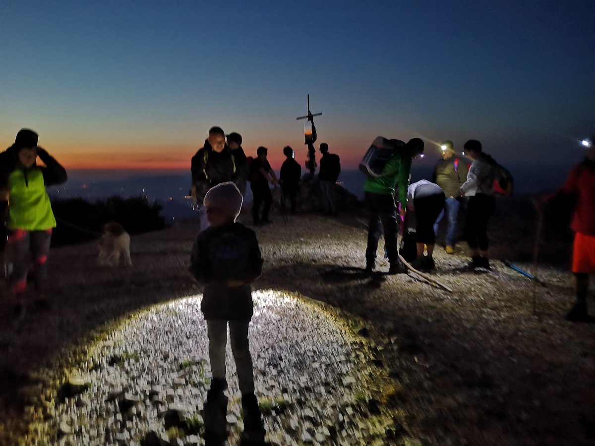 LepiniTrek1536 tweet media