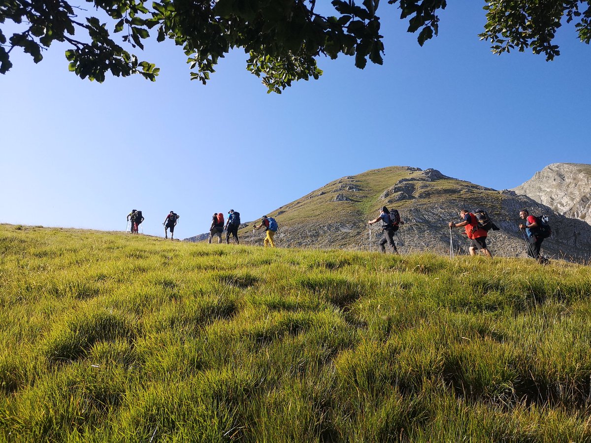 LepiniTrek1536 tweet media