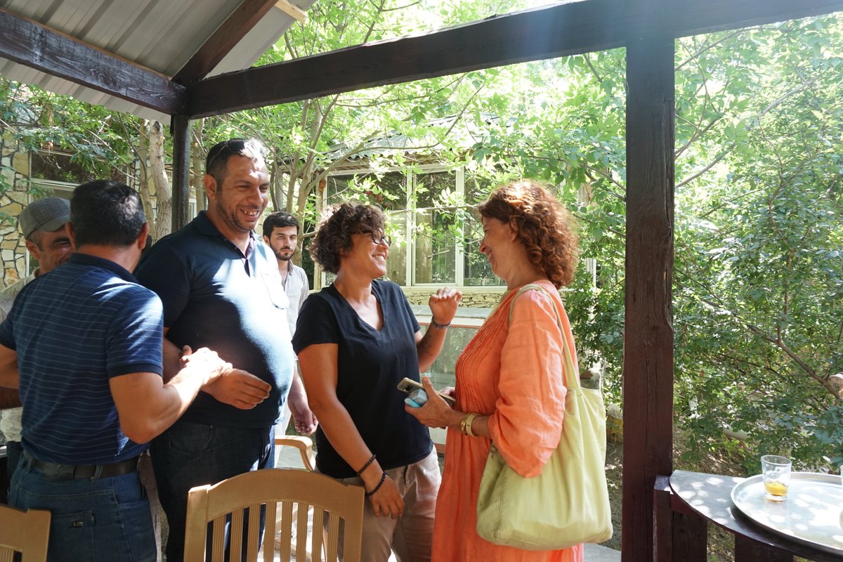 Mark Iserlis tweet media