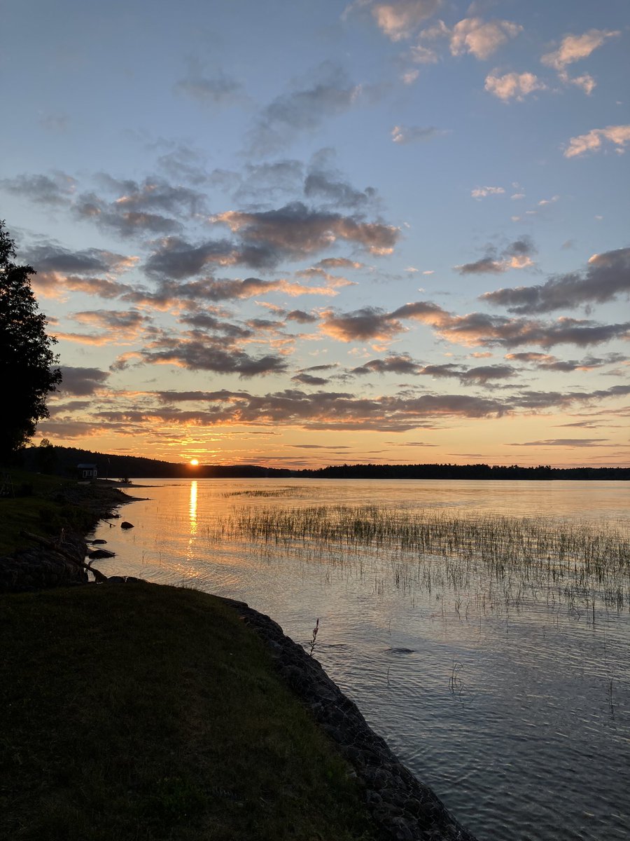 Clare Proctor 🌈💙 tweet media