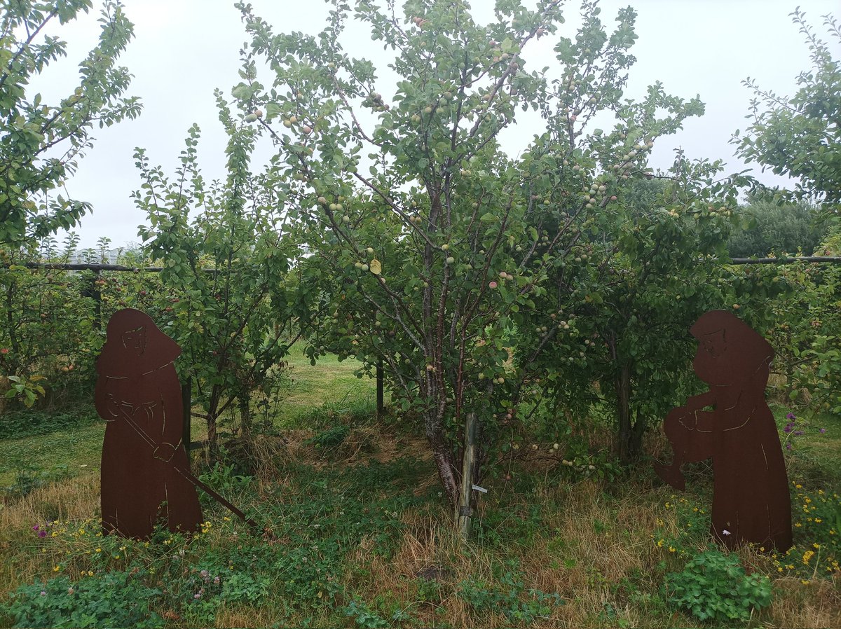 Bosmaatjes's tweet photo. Vandaag even middagje #Kloostertuin #Oosterbierum https://t.co/uxVxQtuNDp