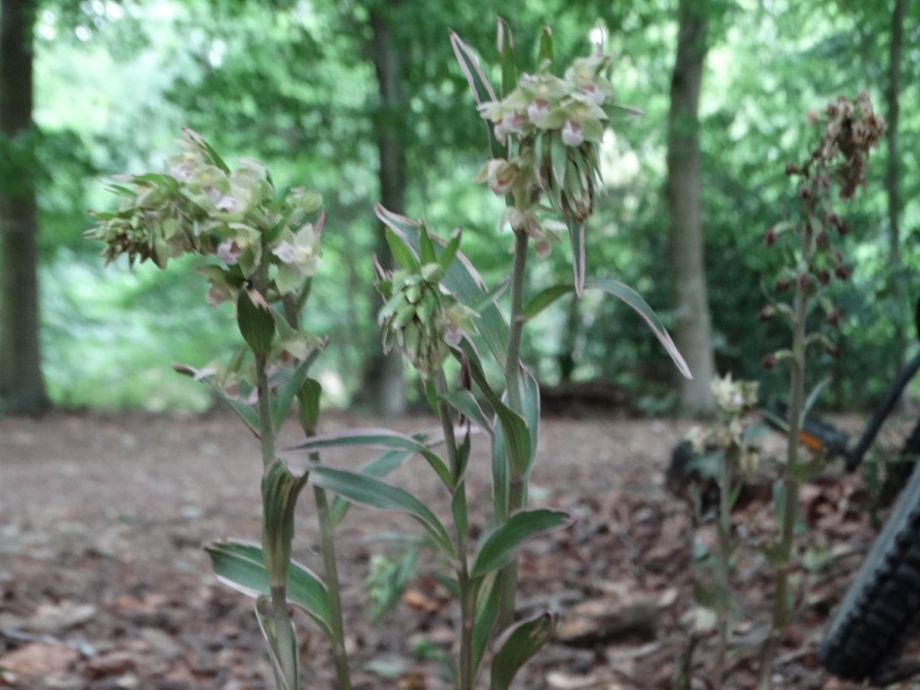 Annette Powell tweet media