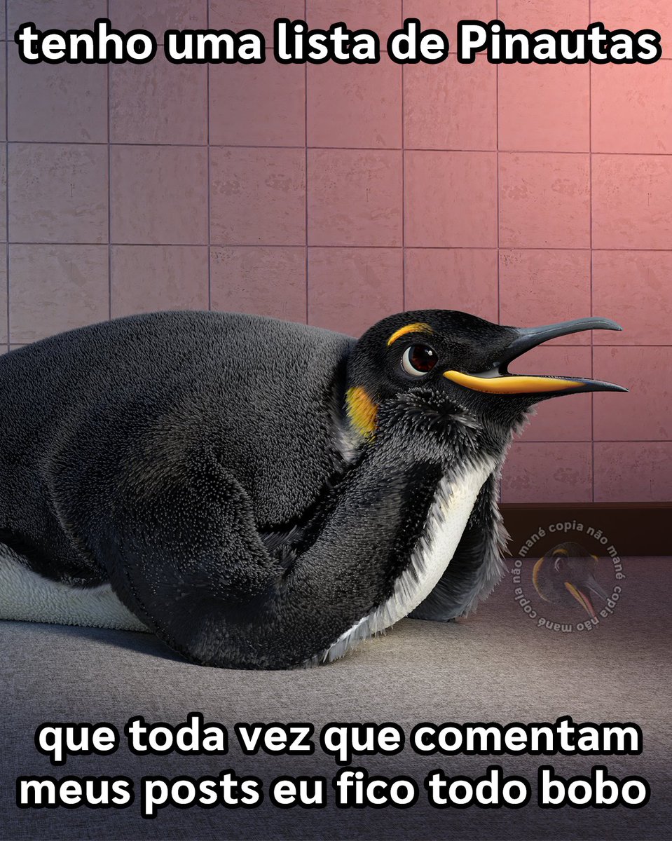 Pontofrio 🐧 tweet media