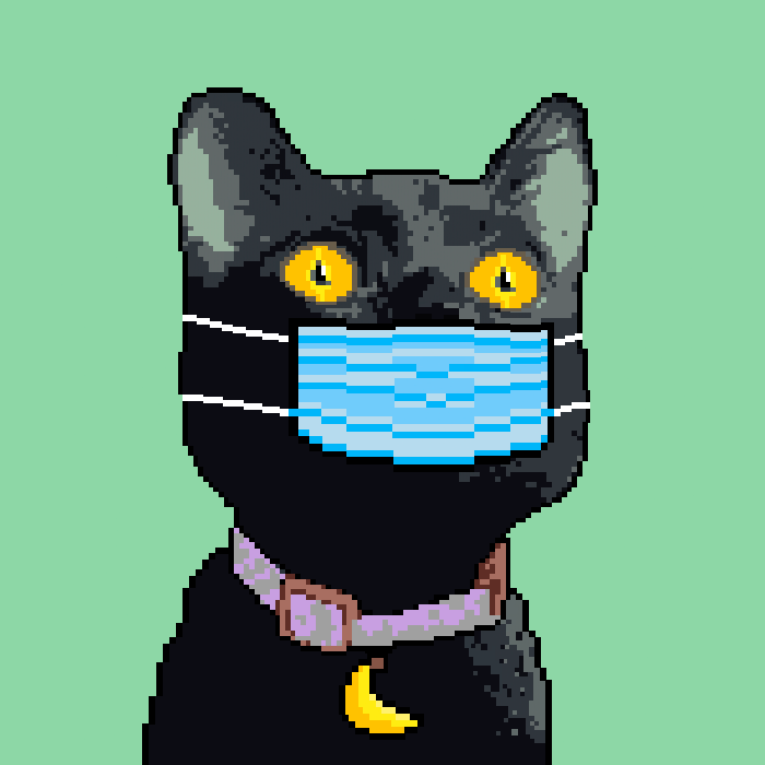 metoyverse's tweet photo. #NFT These CUTE #PixelCATs are waiting to be adpted ❤️🐈‍⬛🐾 Could you RT, please? They need a sweet home #CATlovers Check on @cryptocomnft Thanks https://t.co/t5BFWI2iaH