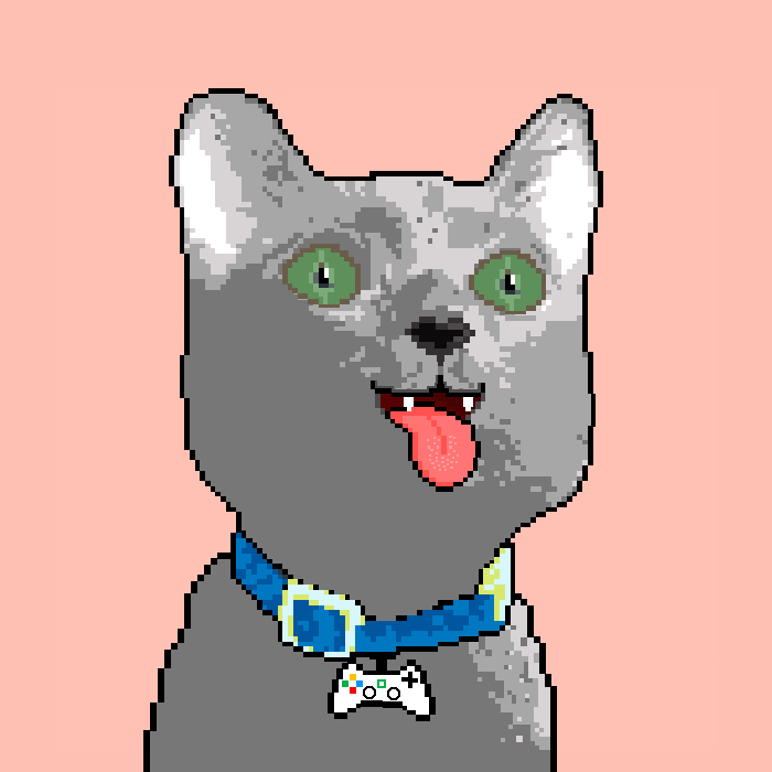 metoyverse's tweet photo. #NFT These CUTE #PixelCATs are waiting to be adpted ❤️🐈‍⬛🐾 Could you RT, please? They need a sweet home #CATlovers Check on @cryptocomnft Thanks https://t.co/t5BFWI2iaH