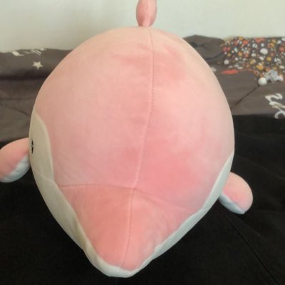 MdBeaDesRD's tweet photo. #NewProfilePic https://t.co/3p9ZiOJjk3
