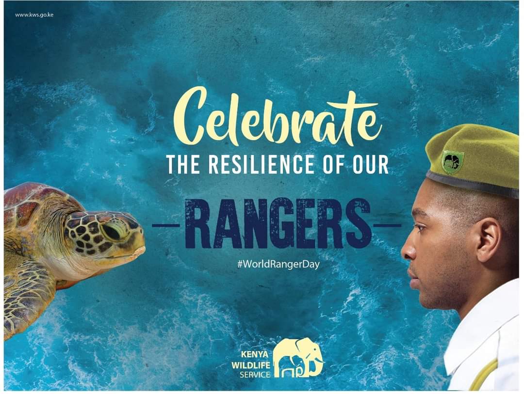 SMART Seas for MPAs tweet media