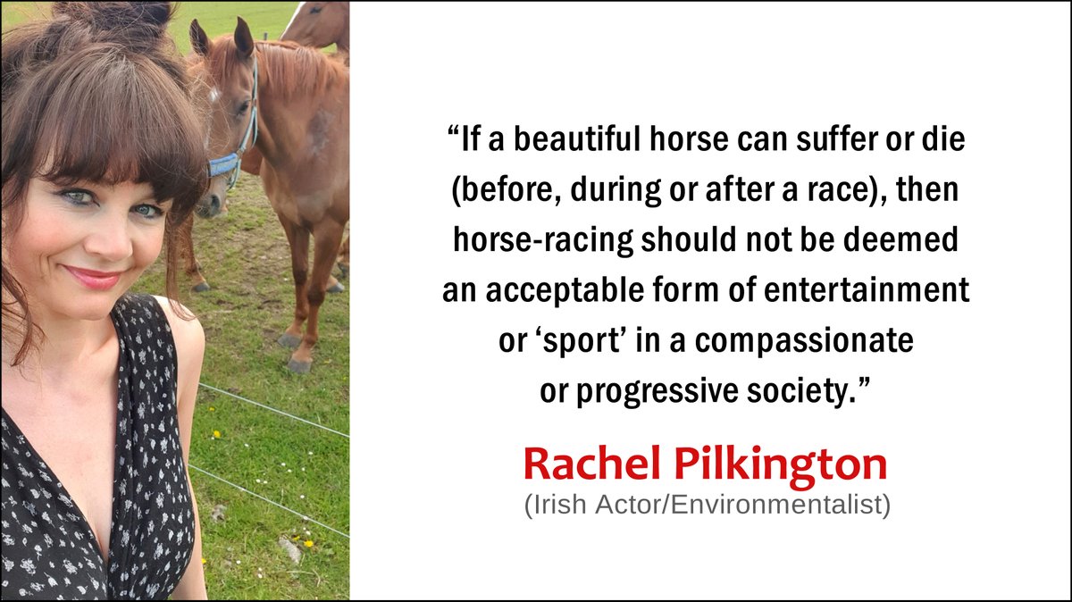 banbloodsports's tweet photo. “If a beautiful horse can suffer or die (before, during or after a race), then horse-racing should not be deemed an acceptable form of entertainment or ‘sport’ in a compassionate or progressive society” - Rachel Pilkington (Irish Actor/Environmentalist) https://t.co/3kwIcPFJVb