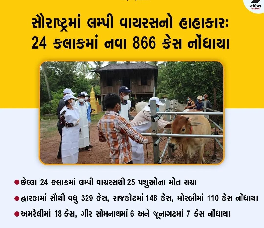 હાલ સુધી બેઠી હતી સરકાર જંપીને,
કામે લગાડી દીધા બધાય ને લમ્પી એ,
કામ થતા જ ભૂલી જાય પશુવૈદ્યો ને,
આ સરકાર તો બહુ જ દંભી છે.
<a href="/CMOGuj/">CMO Gujarat</a> <a href="/Bhupendrapbjp/">Bhupendra Patel</a> <a href="/KanuDesai180/">Kanu Desai</a> <a href="/RaghavjiPatel/">Raghavji Patel</a> <a href="/CRPaatil/">C R Paatil</a> <a href="/BJP4Gujarat/">BJP Gujarat</a> <a href="/INCGujarat/">Gujarat Congress</a> <a href="/sandeshnews/">Sandesh</a> <a href="/gujratsamachar/">Gujarat Samachar</a> #Increase_Guj_Vet_Stipend