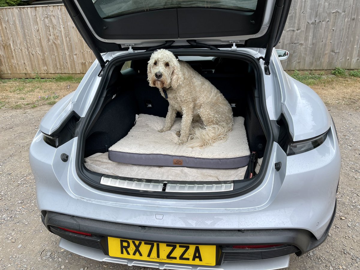 Steve Fowler tweet media