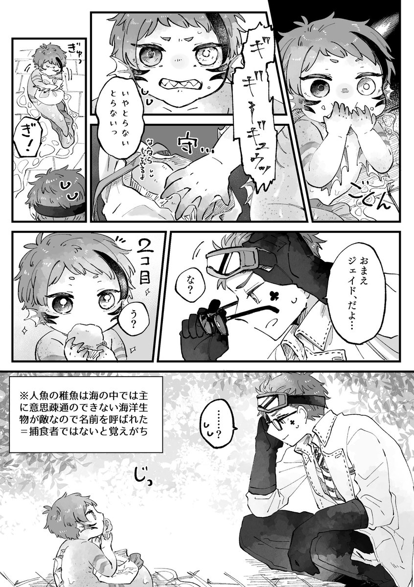 (お菓子につられて)這い寄る稚魚🐬 