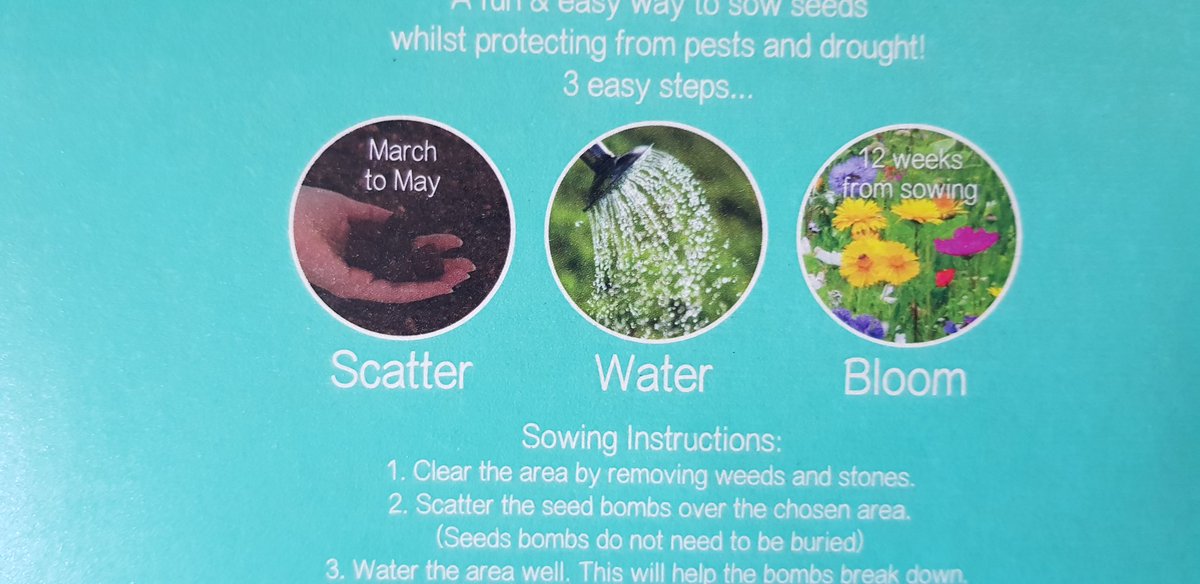 ❓Soooooo...we bought a huge haul of flower bombs ready to 
🌸'FLOOD L8 WITH FLOWERS'🌸
However, the package says plant between March-May
❓Do we really have to wait until next year? 
#gardeninghelp #flowerbombs #floodl8withflowers