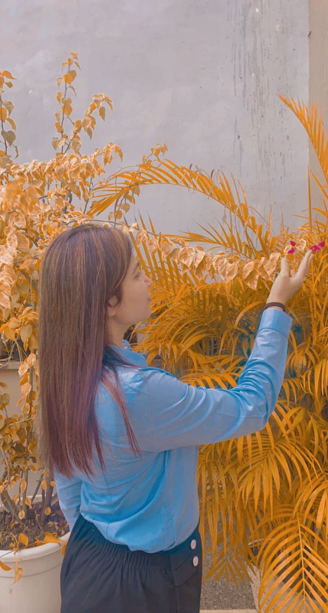 MehakNaqvi10's tweet image. Mehak k mehakte rang!!
#Flowers #view #ViewSonicColor