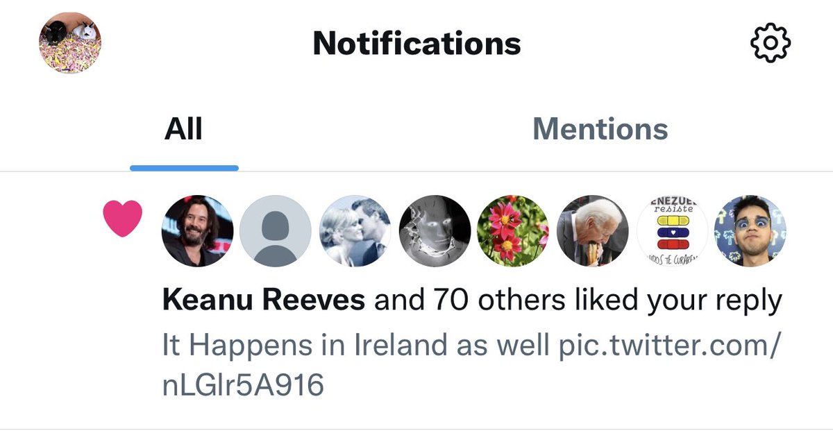 Have we hit Holywood stardom if Keanu Reeves likes one of our <a href="/ecoshredbed/">Ecoshred Bed</a> videos? <a href="/behind_stable/">Behind The Stable Door</a> are off to Holywood with Lamborghini 🐑!