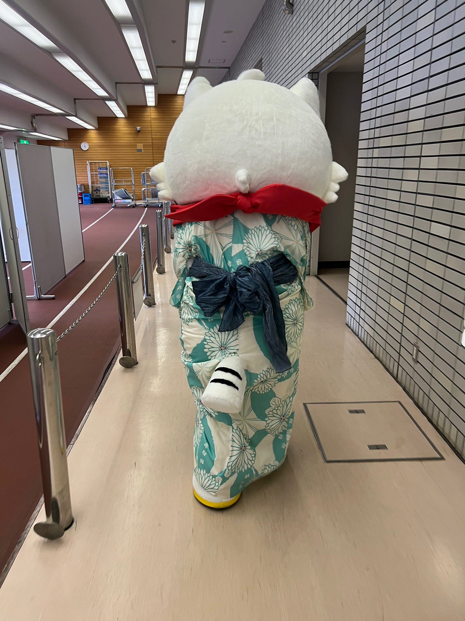 家臣 赤兵衛 昨日の浴衣日 虎百殿は 可愛い と声をかけられる度に喜んでおったのう 喜び過ぎて部屋へ戻る途中 浴衣がはだけてしまうほどだったのじゃよ しかし そこでも可愛いと言われ 満足気じゃったのう さすがじゃ 虎百 福島ユナイテッド