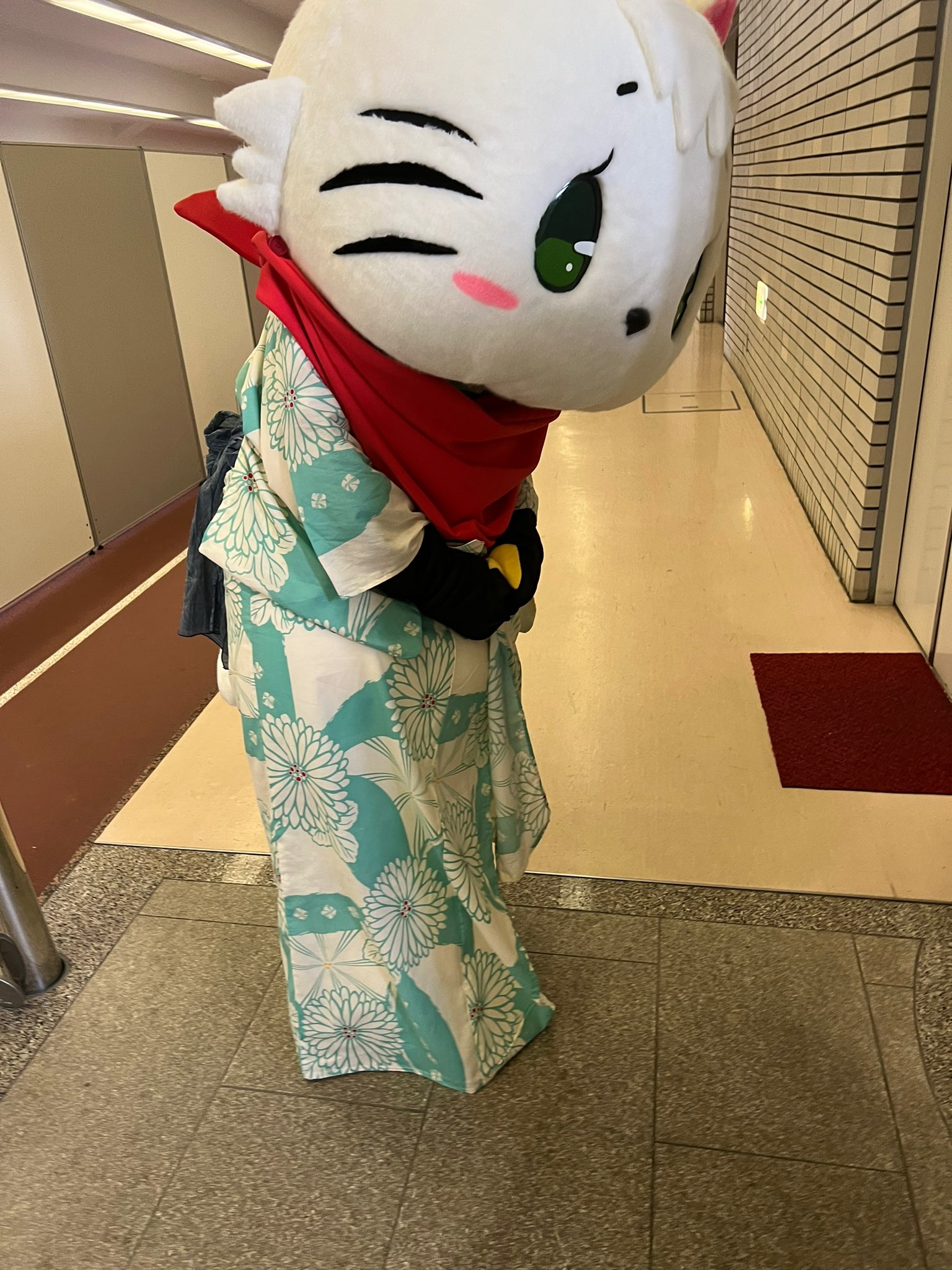 家臣 赤兵衛 昨日の浴衣日 虎百殿は 可愛い と声をかけられる度に喜んでおったのう 喜び過ぎて部屋へ戻る途中 浴衣がはだけてしまうほどだったのじゃよ しかし そこでも可愛いと言われ 満足気じゃったのう さすがじゃ 虎百 福島ユナイテッド