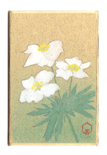 Follow 日本の誕生花 S Tanjyouka Latest Tweets Twitter