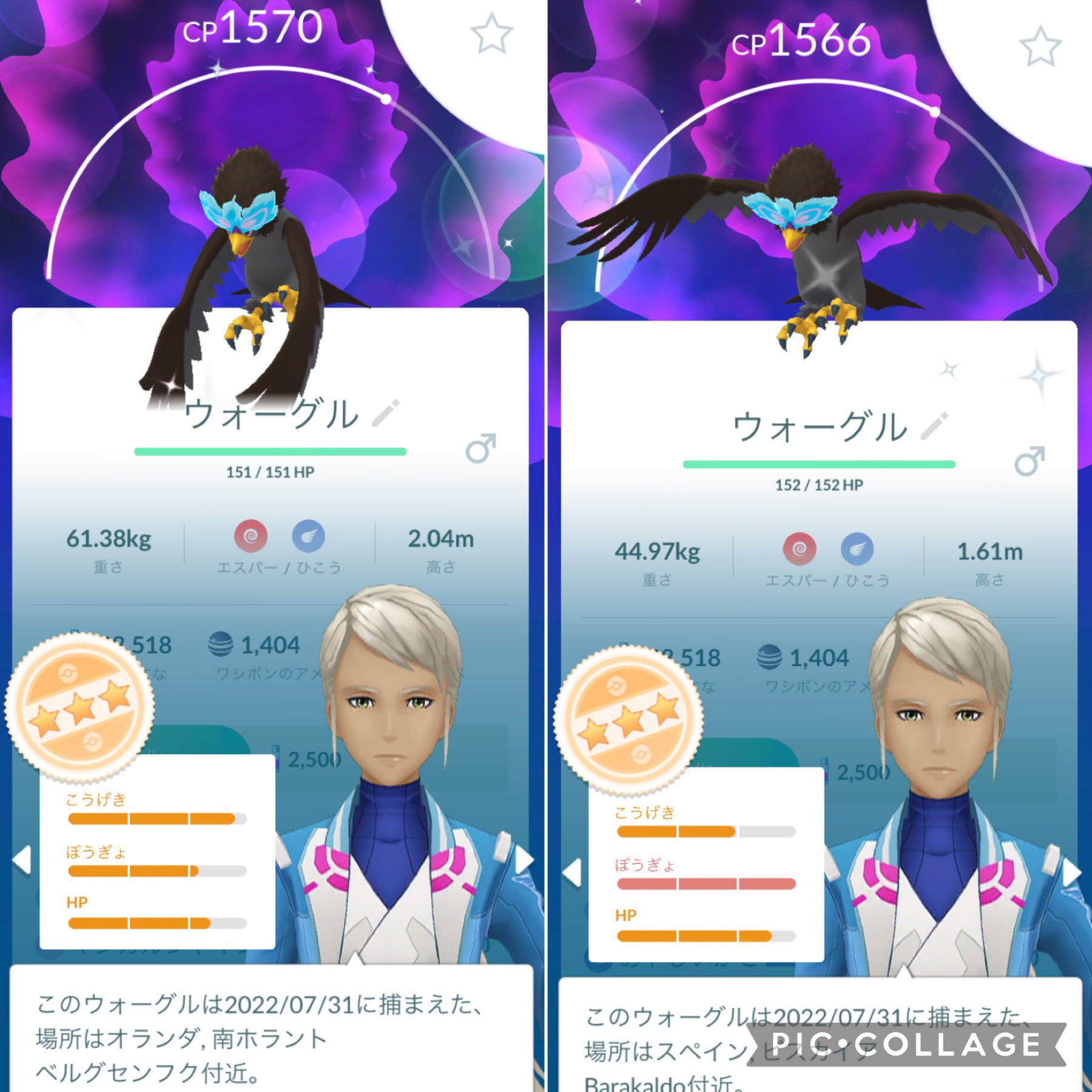Ayuyu ポケモンgo Ayuyu128poke Twitter