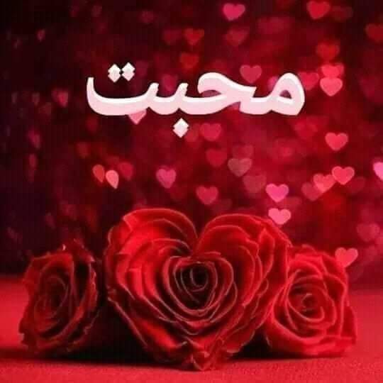 Mughal Builders 👷‍♂️ (@muhamma31242421) on Twitter photo 